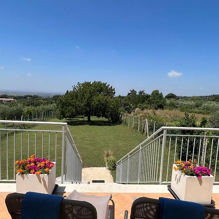 La Terrazza Sul Ciliegio Apartment Marino Bagian luar foto