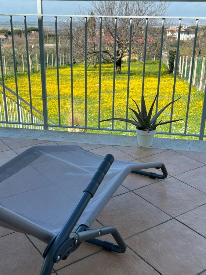 La Terrazza Sul Ciliegio Apartment Marino Bagian luar foto