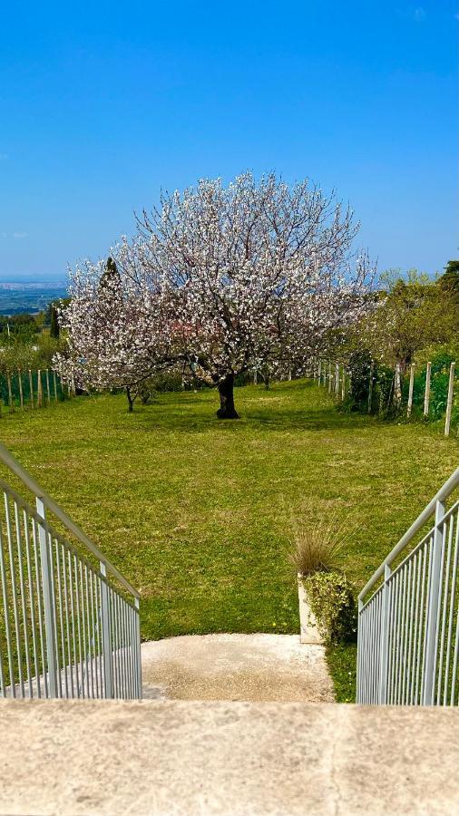 La Terrazza Sul Ciliegio Apartment Marino Bagian luar foto